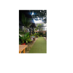 untitled (150 x 150 px)